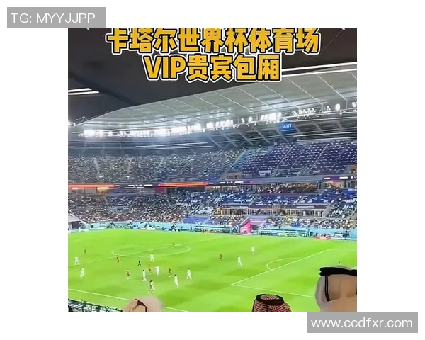 足球明星包厢体验：专属奢华与赛事激情完美融合的全新享受